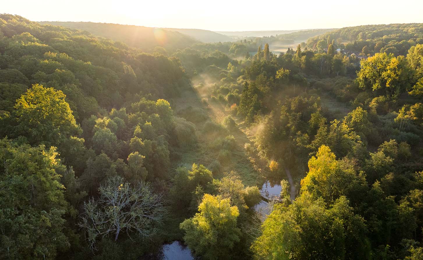 Découverte de la Vallée de Chevreuse : Nature, Culture et Aventure