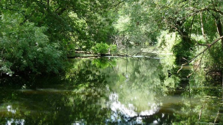 Excursion d’une journée à Bordeaux : découvrez la magnifique campagne environnante et les paysages naturels